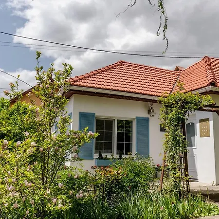Casa Sachsenland Dom wakacyjny Kluż-Napoka